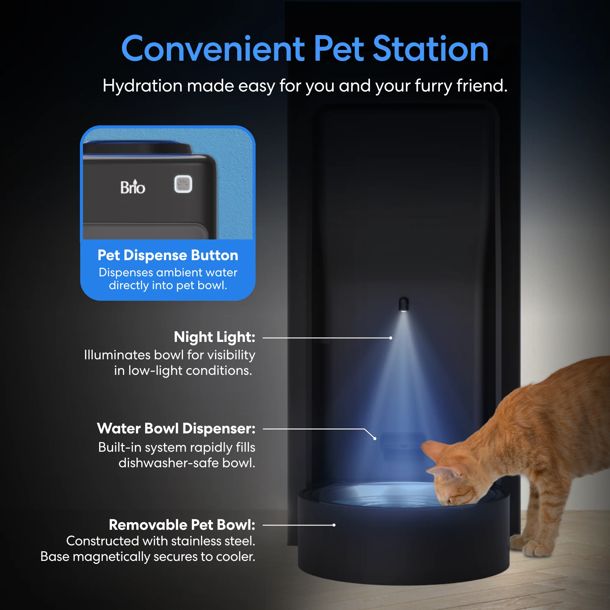 Brio Top Load Water Cooler & Dispenser with Built-In Pet Station - Image 3