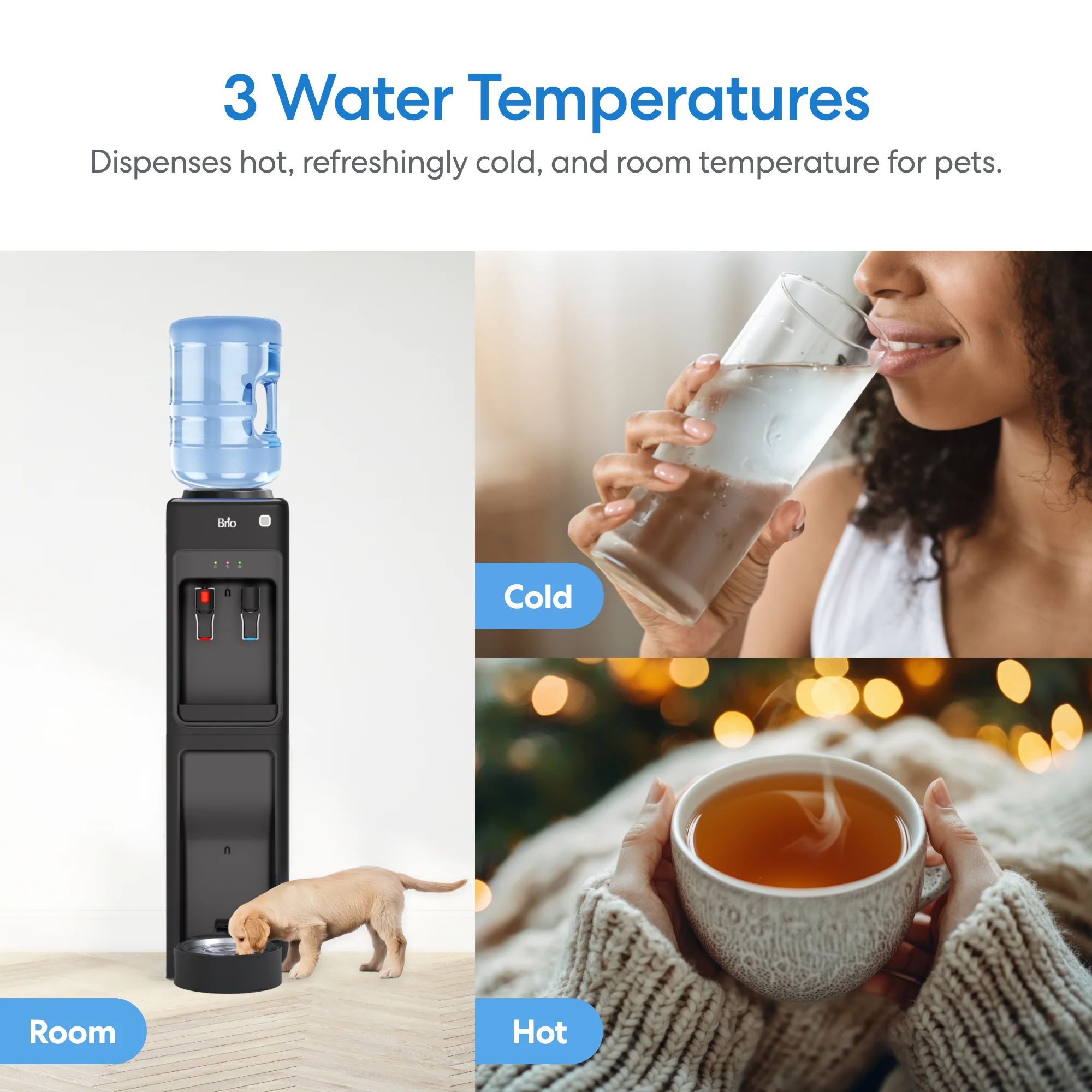 Brio Top Load Water Cooler & Dispenser with Built-In Pet Station - Image 5