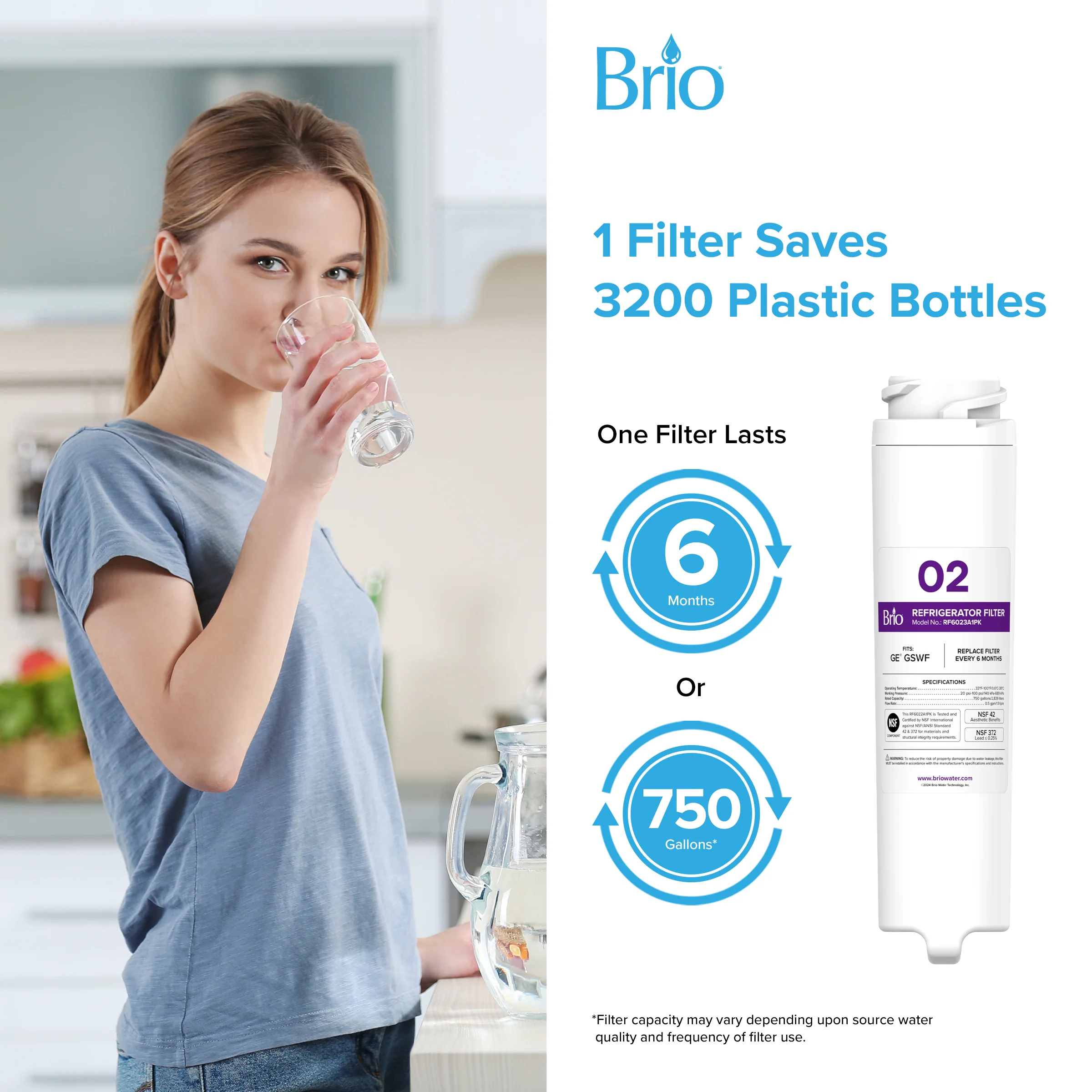 Brio 6023A Refrigerator Filter - GE GSWF, GSWF3PK, GSWFDS, 100749-C, 100749C, 100810/A, 100810A - Image 7